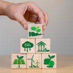 Andre de Barros Faria explica como certificações no mercado de carbono elevam a inovação e fortalecem a competitividade das empresas brasileiras.