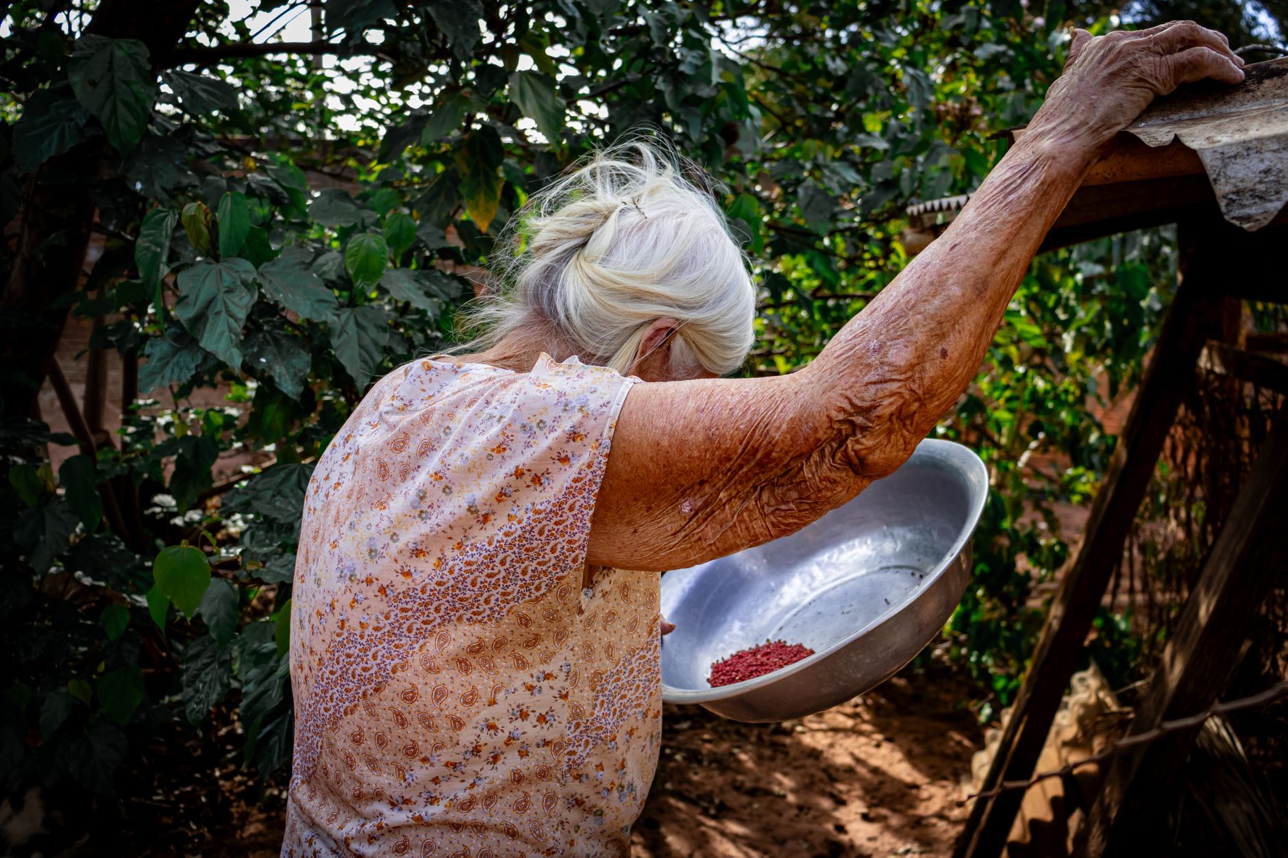 Mulher idosa cuida de uma horta ao ar livre em Três Lagoas, no Brasil.